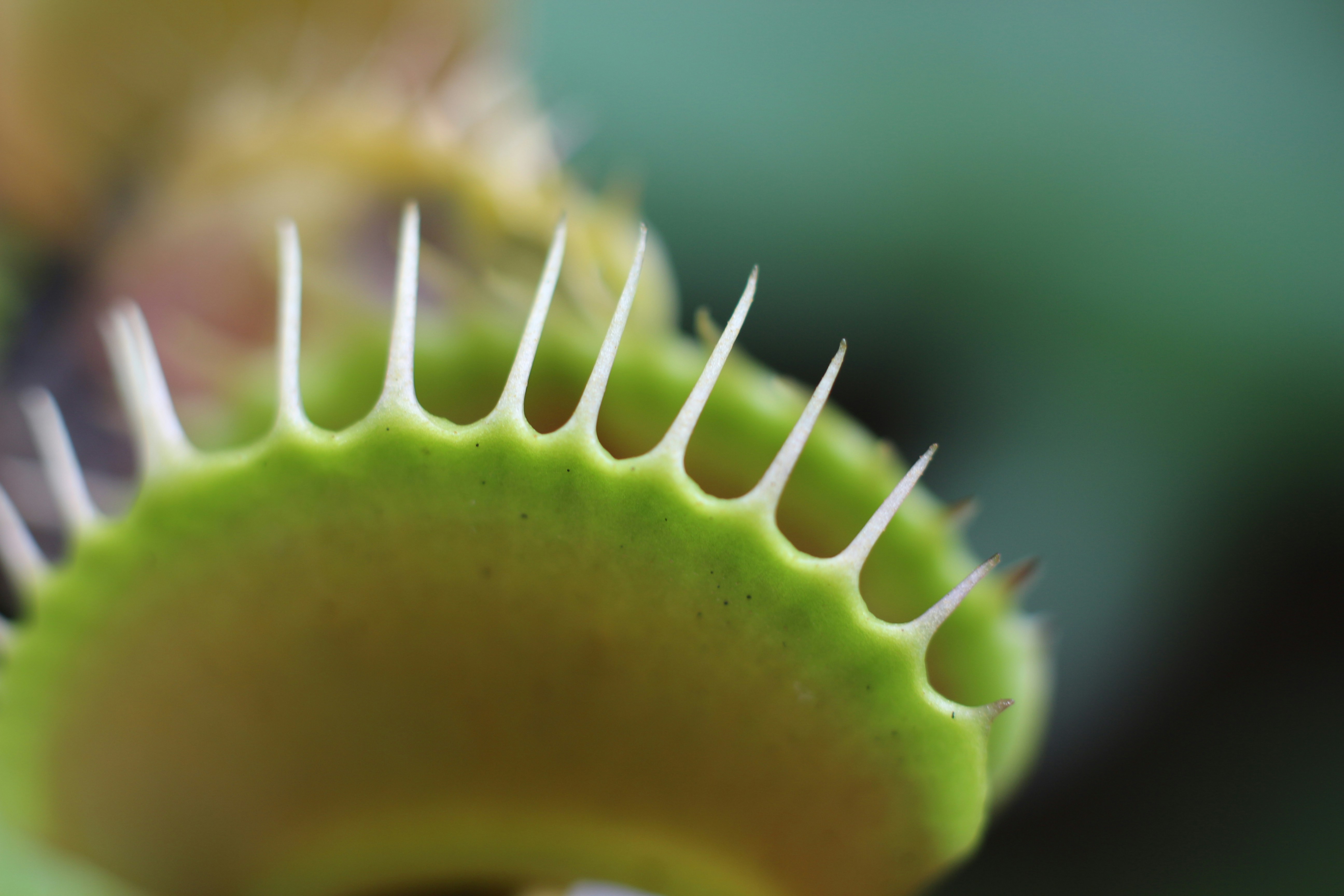 jeffery-wong-OCgC2duknEs-unsplash