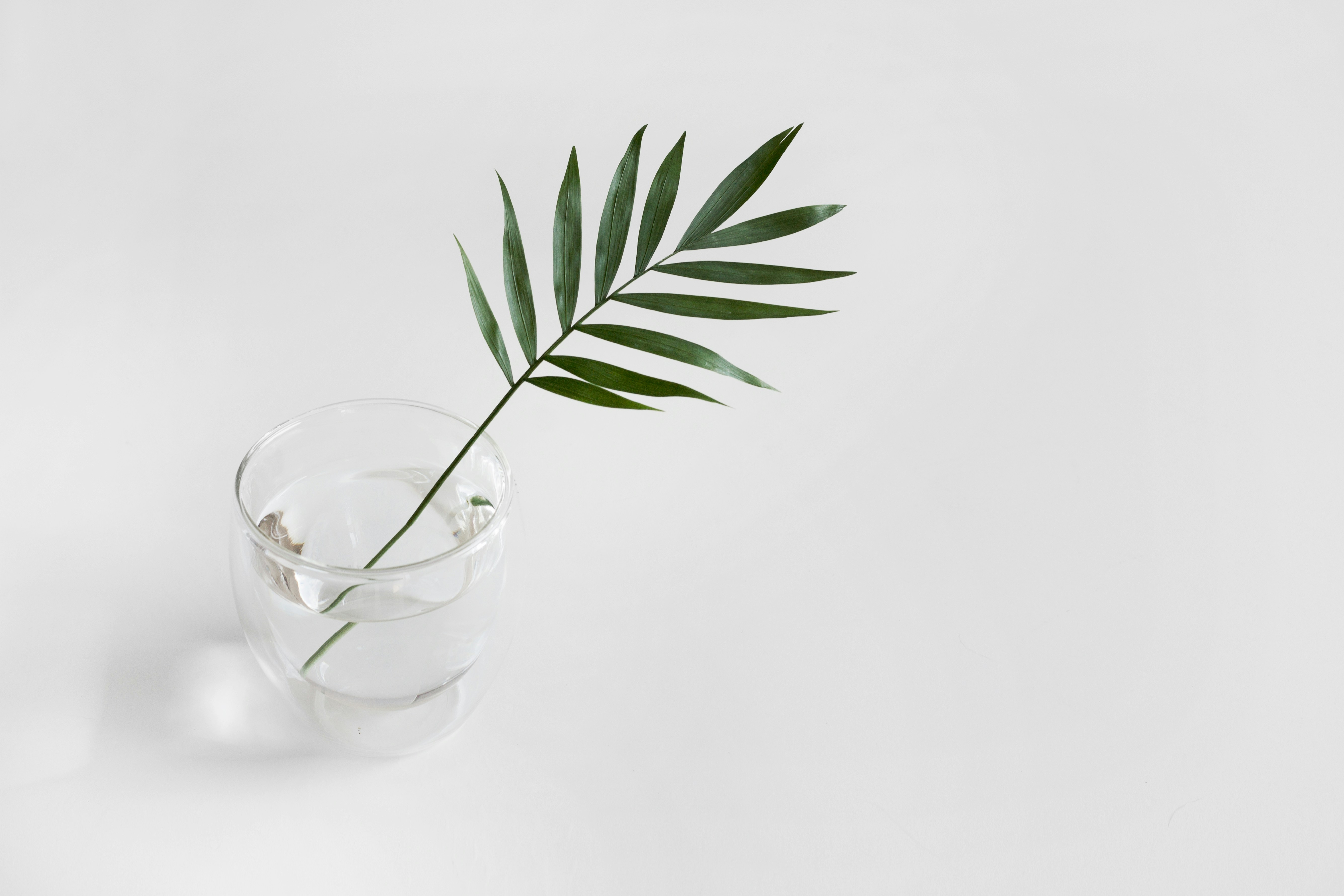 sarah-dorweiler-2s9aHF4eCjI-unsplash